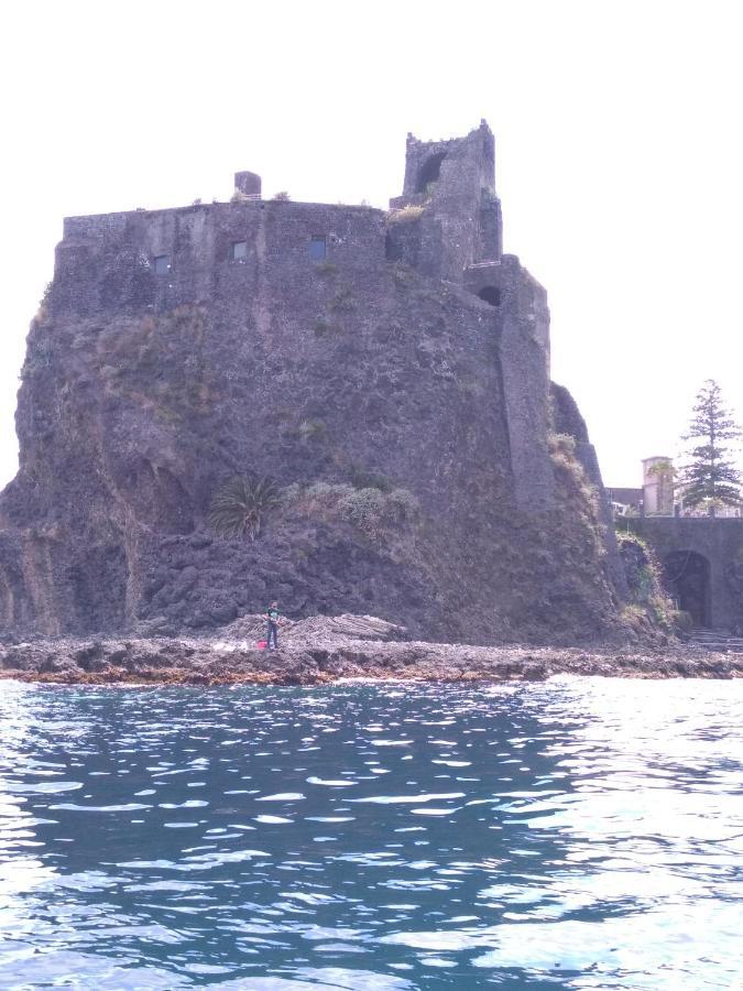 Mandalarose